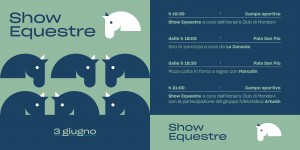 Scopri di più sull'articolo Show equestre