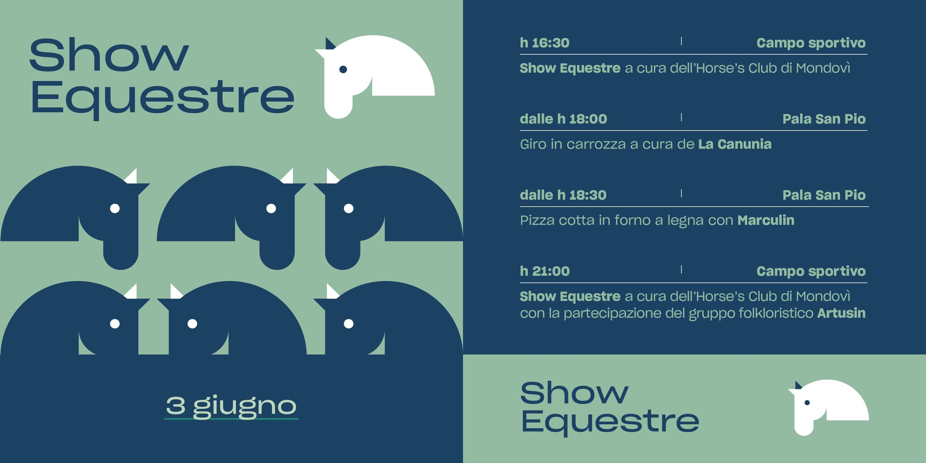 Scopri di più sull'articolo Show equestre